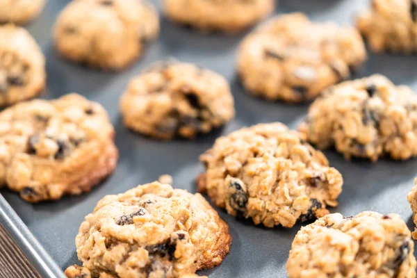 Vers Gebakken Kauw Havermout Rozijnenkoekjes Een Bakplaat — Stockfoto