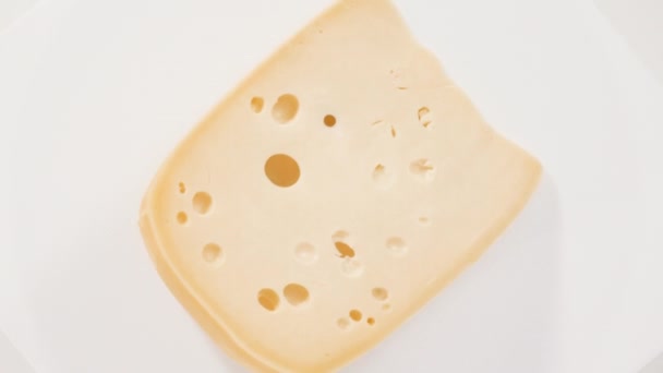 Gourmet Cheese Wedge Close View White — Stok Video