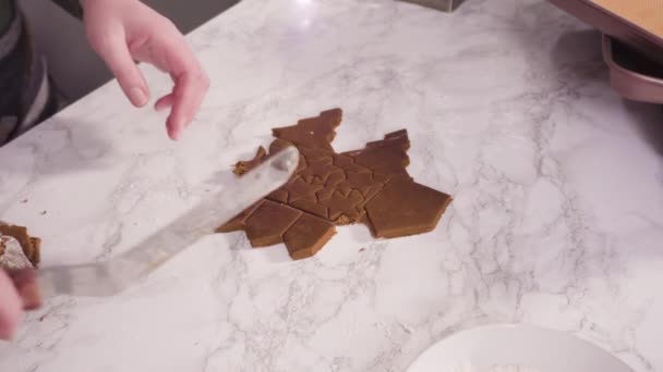 Ψήσιμο Ζάχαρης Χριστουγεννιάτικα Μπισκότα Σχήμα Χριστουγεννιάτικων Δέντρων Και Αστεριών — Αρχείο Βίντεο