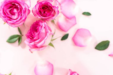 Düz yatıyordu. Pembe güller ve pembe arka planda gül yaprakları.