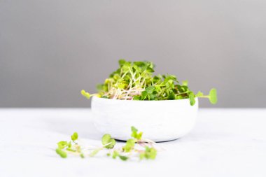 Bir kasede taze toplanmış turp mikroçerezleri..