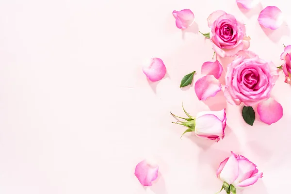 Επίπεδη Ροζ Τριαντάφυλλα Και Ροδοπέταλα Ροζ Φόντο — Φωτογραφία Αρχείου