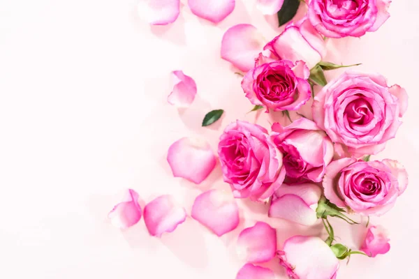 Flat Lay Pink Roses Rose Petals Pink Background — Stock Photo, Image
