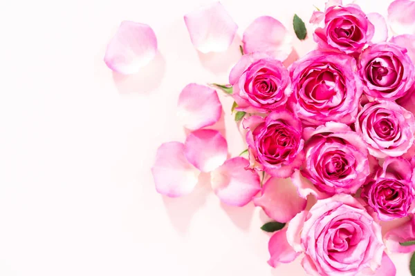 Acostado Rosas Rosadas Pétalos Rosa Sobre Fondo Rosa — Foto de Stock