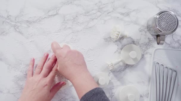 Découper Des Flocons Neige Avec Des Emporte Pièce Fondant Blanc — Video