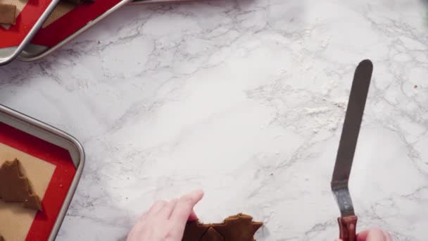 ジンジャーブレッドクッキー生地からクリスマスクッキーカッターで形を切り取る — ストック動画