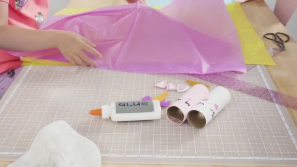 Making Different Bugs Out Empty Toilet Paper Rolls Homeschooling Art — Stock Video