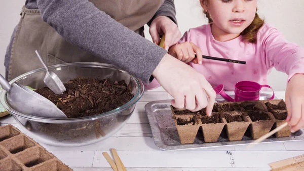 Kleines Mädchen Hilft Beim Pflanzen Von Kräutersamen Kleine Gefäße Für — Stockfoto