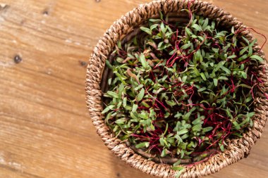 Mor saplı turp mikroçerezleri ve sepette yeşil yapraklar.