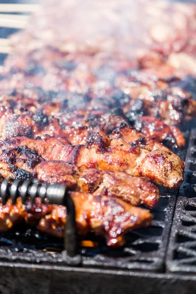 Carne di maiale sugli spiedi — Foto Stock