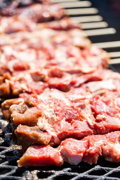 Carne di maiale sugli spiedi — Foto Stock