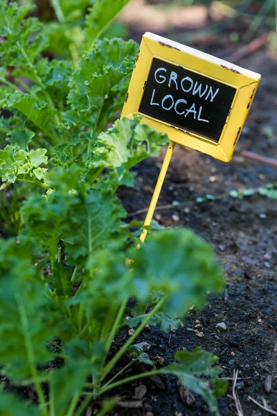 Signo de jardín urbano — Foto de Stock