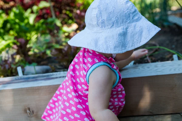 Baby girl in organic urban garden. — Stock Photo, Image