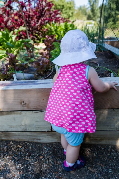 Dziewczynka w organiczny ogród miejski. — Zdjęcie stockowe