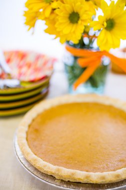 Balkabağı turtası