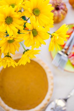 Balkabağı turtası