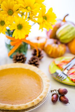 Balkabağı turtası