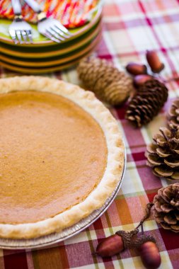 Balkabağı turtası