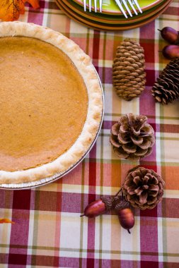 Balkabağı turtası