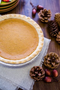 Balkabağı turtası