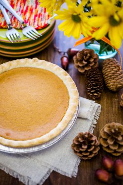 Balkabağı turtası