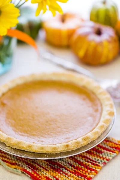 Balkabağı turtası