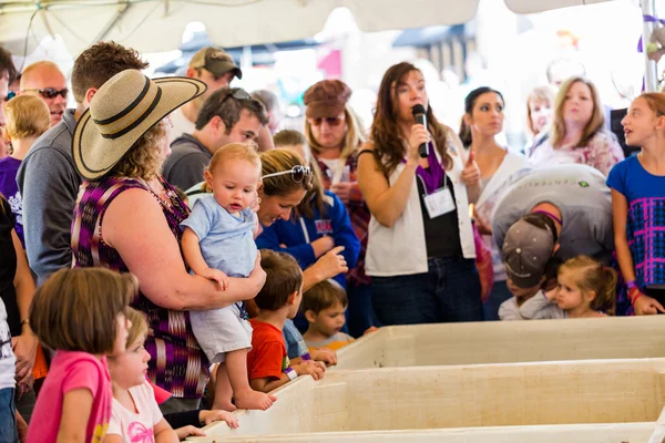 Rompiendo uvas en el festival anual italiano —  Fotos de Stock