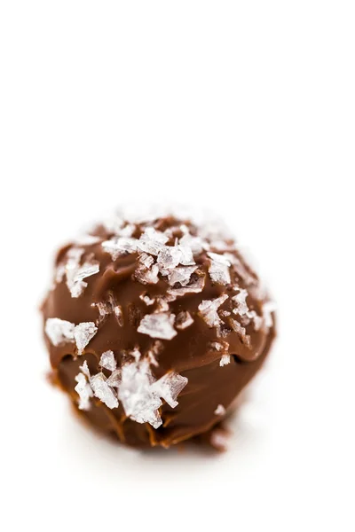 Truffe au chocolat — Photo