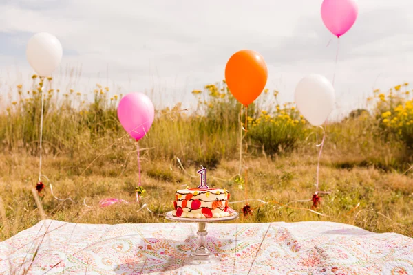 Födelsedagsfest med tårta och ballonger. — Stockfoto