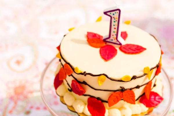 Festa de aniversário com bolo — Fotografia de Stock