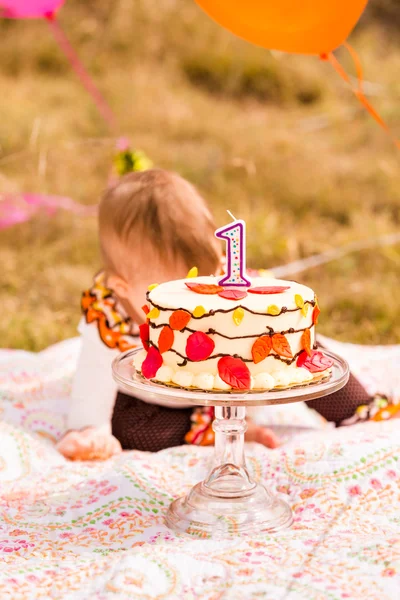 Bebek kız doğum günü partisi — Stok fotoğraf