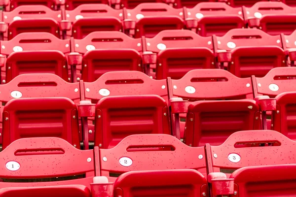 Empty Stadium — Stock Photo, Image