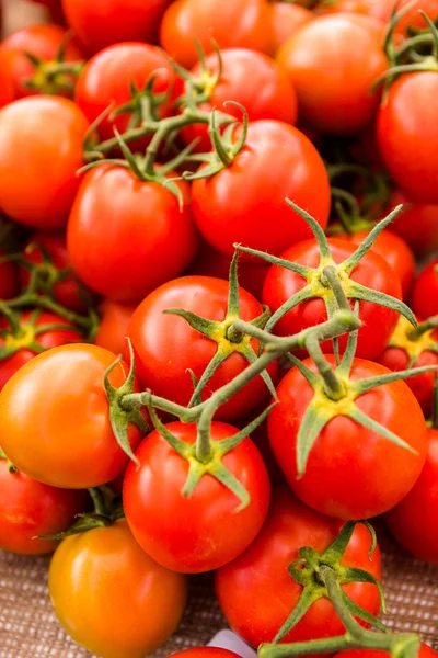 Tomates rojos — Foto de Stock