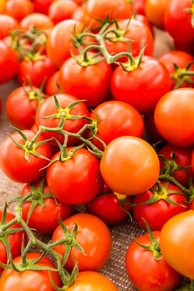 Rote Tomaten — Stockfoto