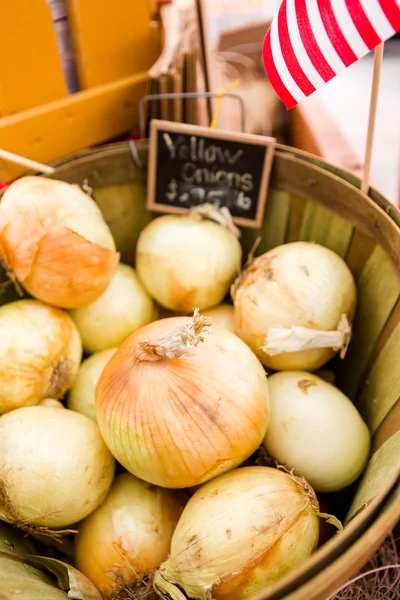 Cebollas orgánicas frescas — Foto de Stock