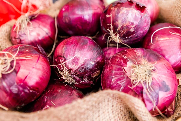 Frische Zwiebeln — Stockfoto