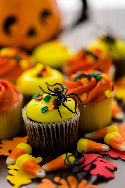 Cupcakes jaunes et orange — Photo