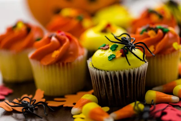 Gula och orange cupcakes — Stockfoto