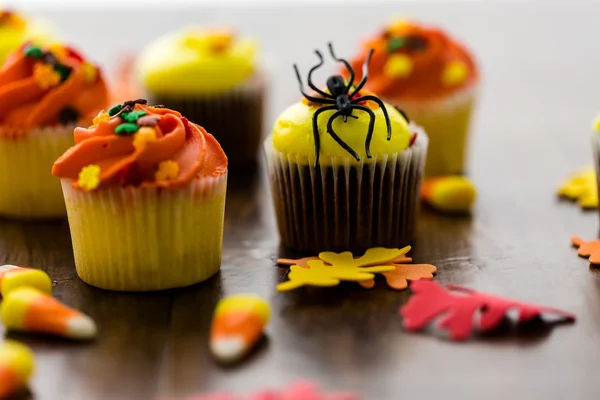 Yellow and orange Cupcakes — Stock Photo, Image