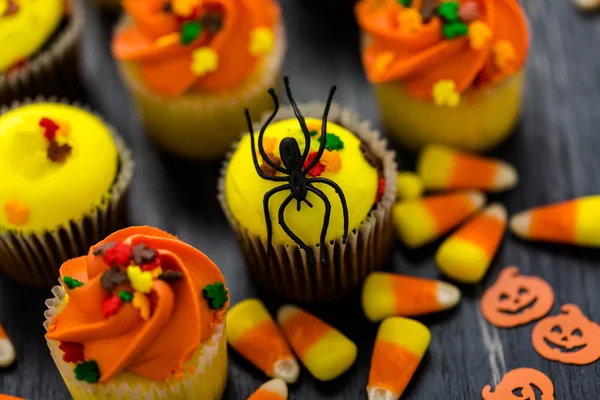 Cupcakes jaunes et orange — Photo