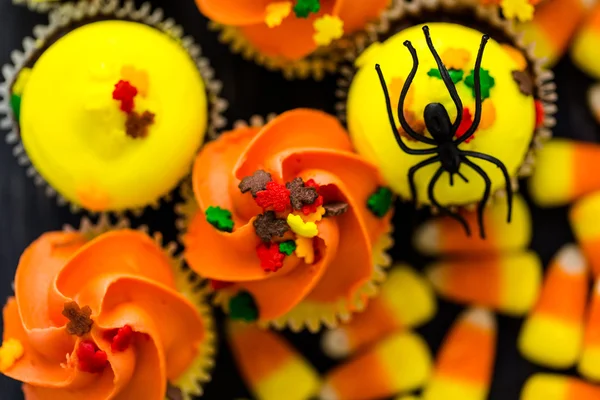 Yellow and orange Cupcakes — Stock Photo, Image