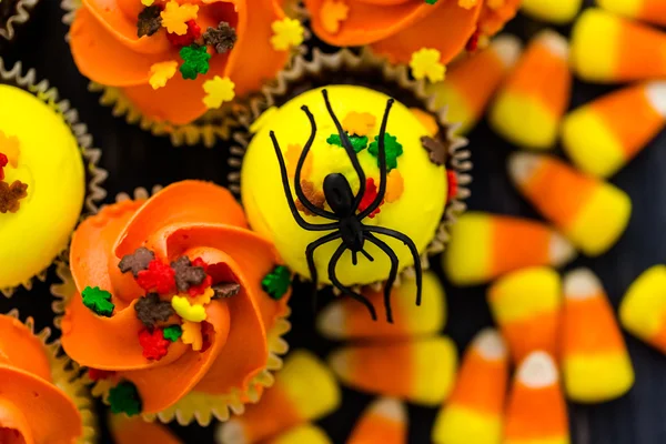 Yellow and orange Cupcakes — Stock Photo, Image