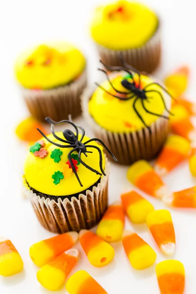 Gula och orange cupcakes — Stockfoto