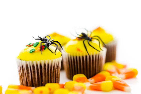 Yellow and orange Cupcakes — Stock Photo, Image