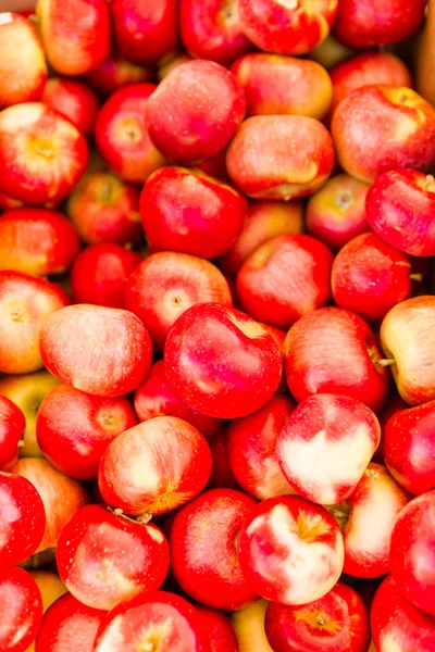 Fresh apples — Stock Photo, Image