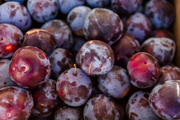 Fresh plums — Stock Photo, Image