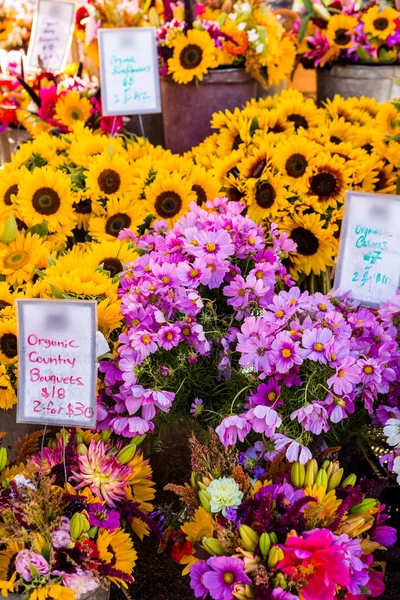 Verse bloemen — Stockfoto