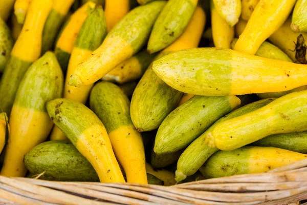 Zucchine fresche — Foto Stock