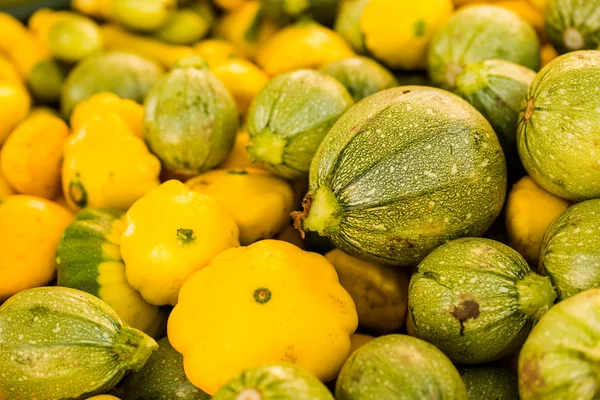 Zucchine fresche — Foto Stock