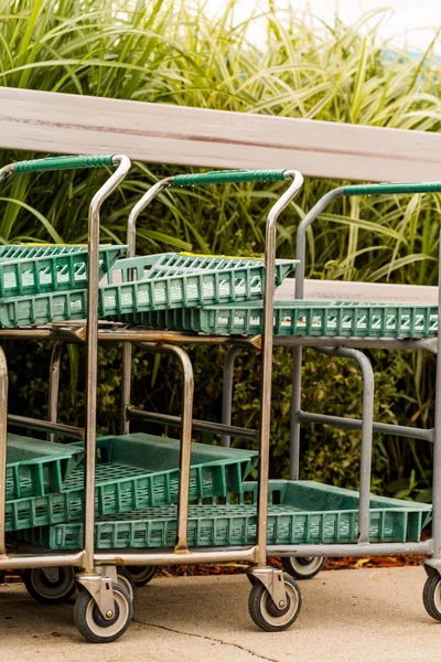 Shopping carts — Stock Photo, Image